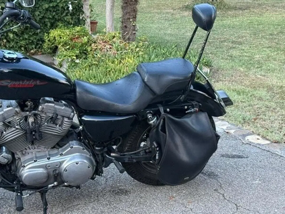 Harley-Davidson 883 (2008 - 09) - XL (11)