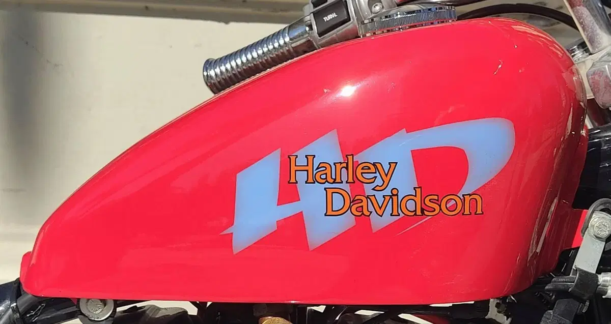 Harley-Davidson 883 Standard (1994 - 00) - XLH (2)