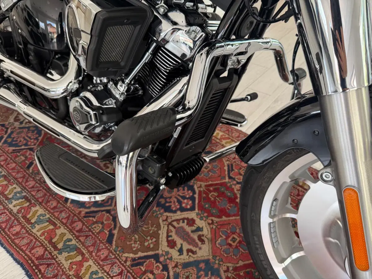 Harley-Davidson Fat Boy 117 (2025 - 26) (14)