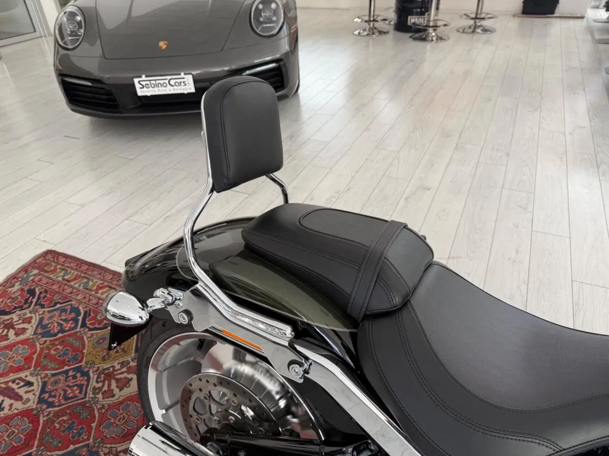 Harley-Davidson Fat Boy 117 (2025 - 26) (12)