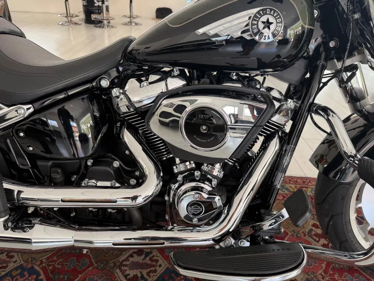 Harley-Davidson Fat Boy 117 (2025 - 26) (6)