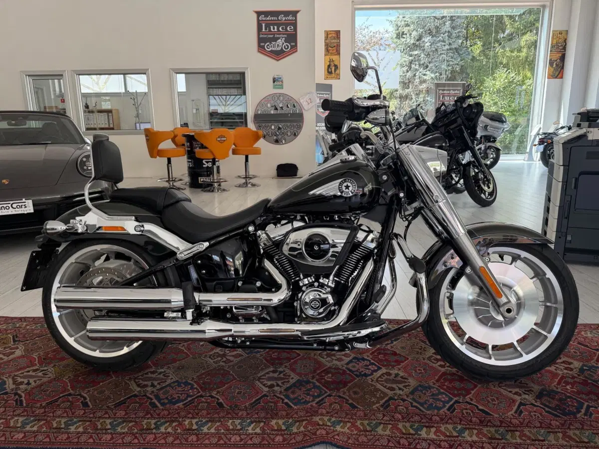 Harley-Davidson Fat Boy 117 (2025 - 26) (2)