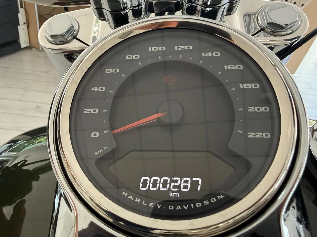 Harley-Davidson Fat Boy 117 (2025 - 26) (9)