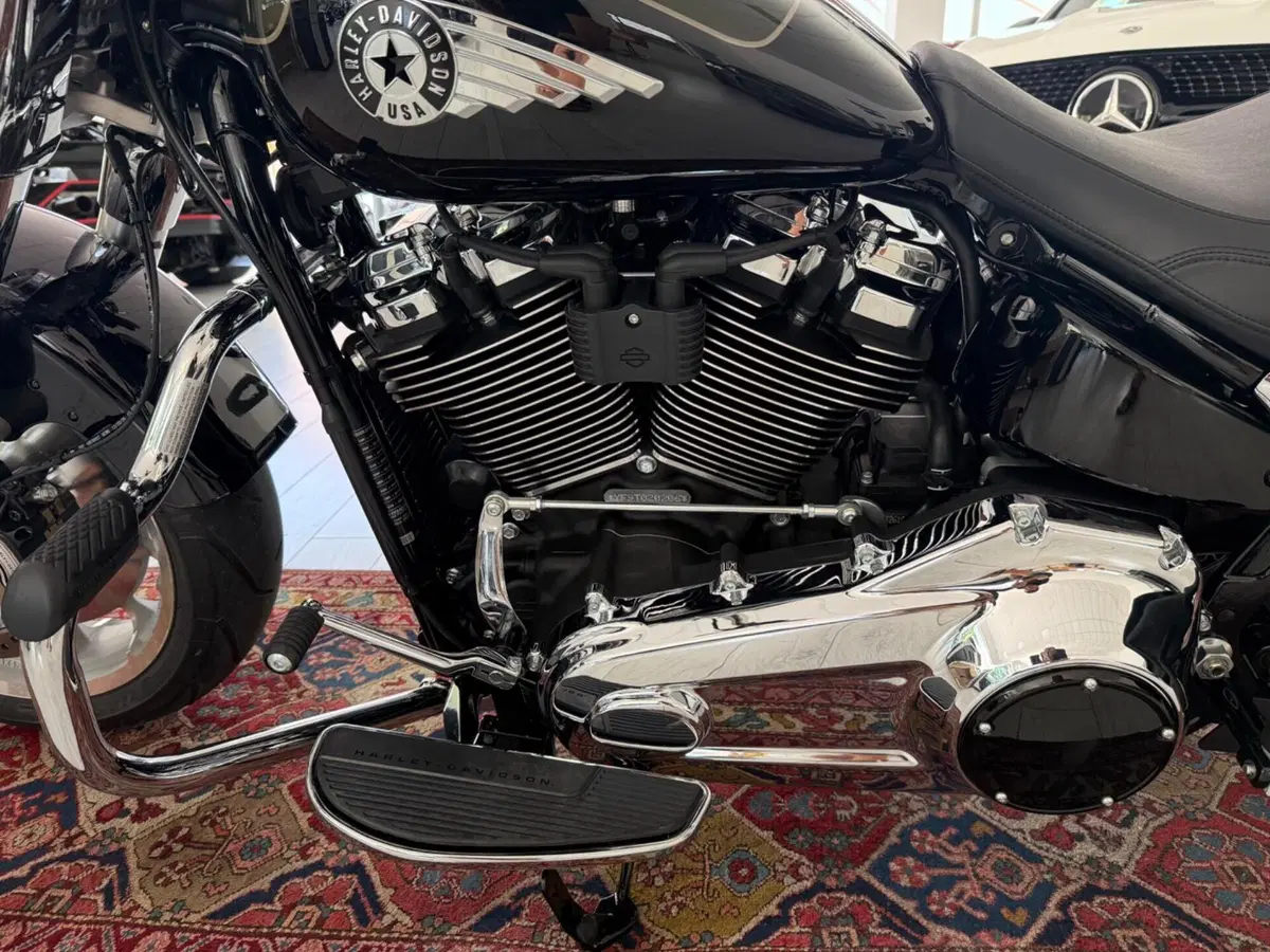 Harley-Davidson Fat Boy 117 (2025 - 26) (7)