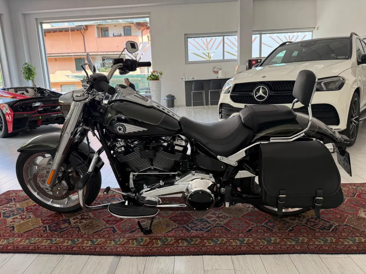 Harley-Davidson Fat Boy 117 (2025 - 26) (3)