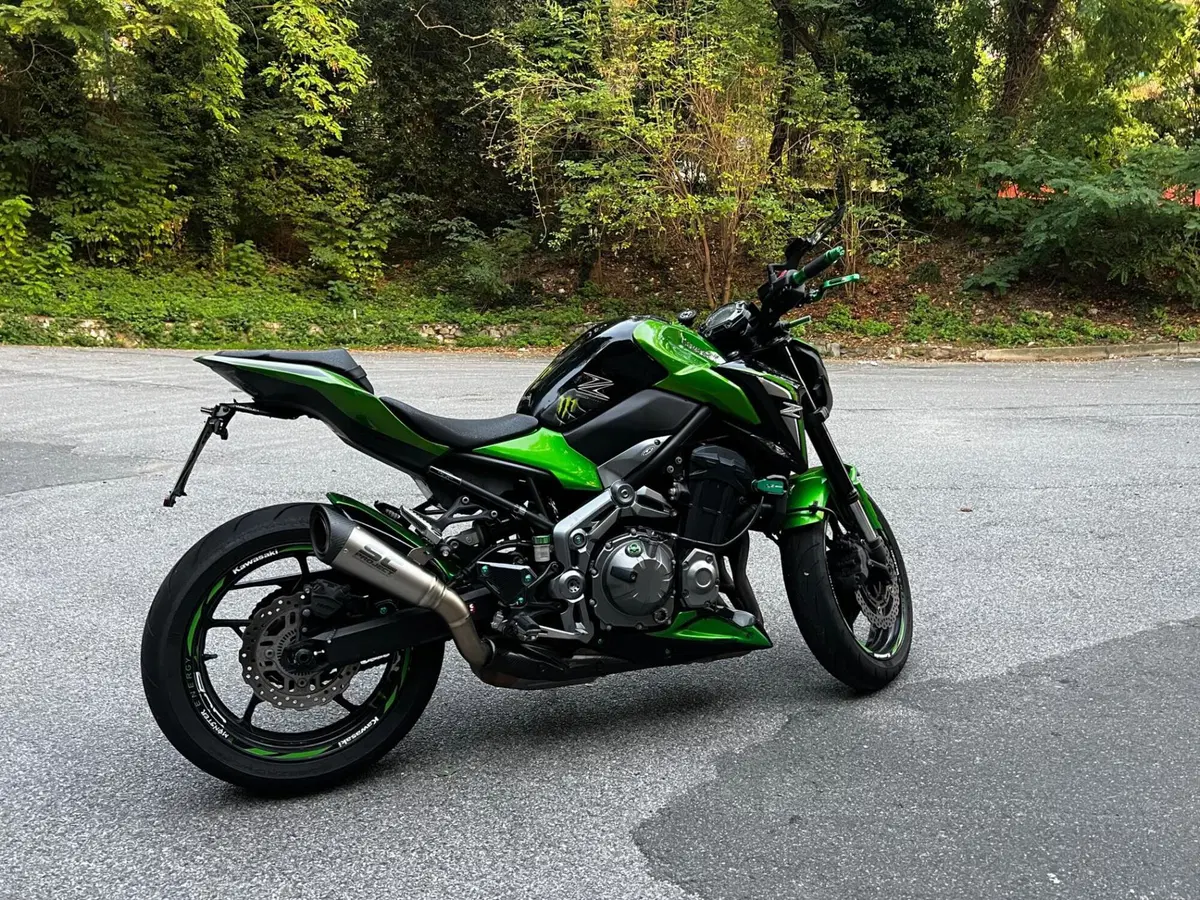 Kawasaki Z 900 (2017 - 18) (5)