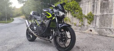 Kawasaki Z 400 (2019 - 20) usata