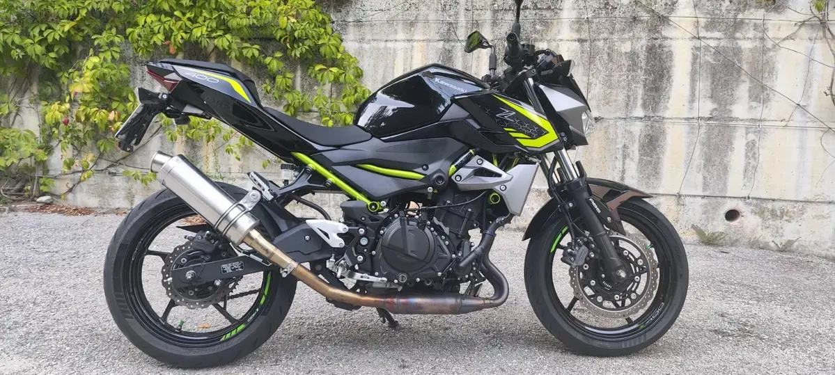 Kawasaki Z 400 (2019 - 20) (2)