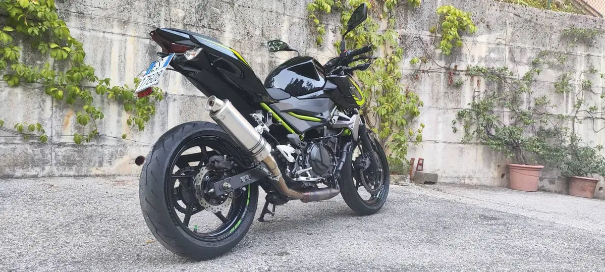Kawasaki Z 400 (2019 - 20) (3)