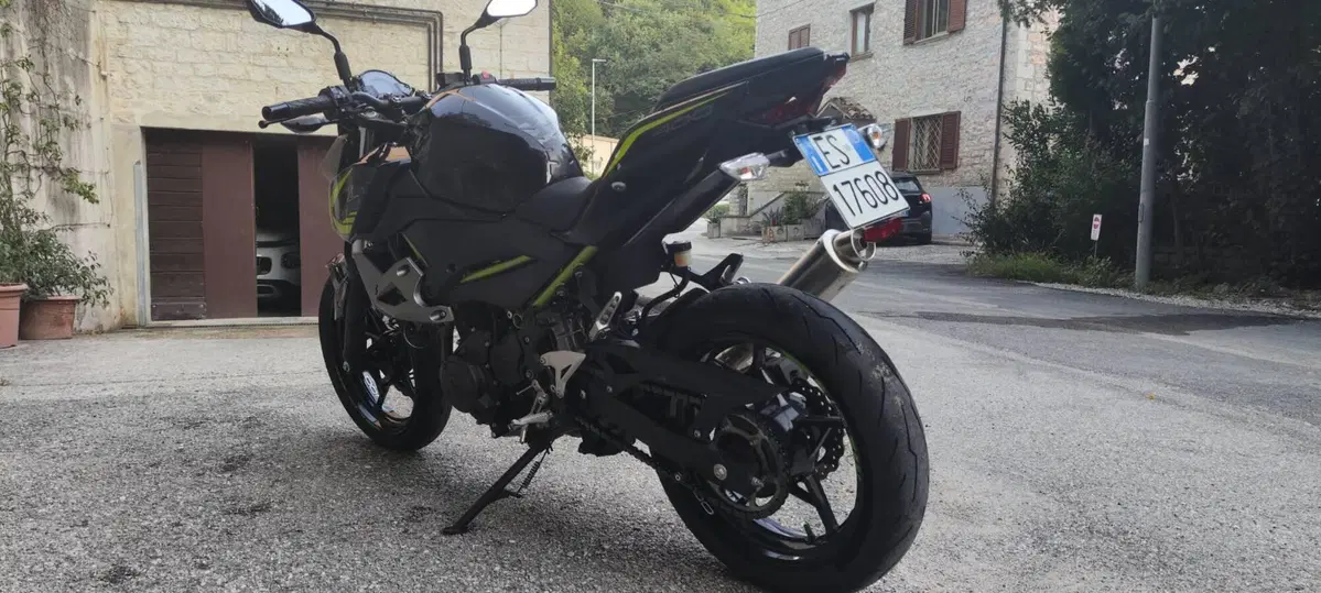 Kawasaki Z 400 (2019 - 20) (4)