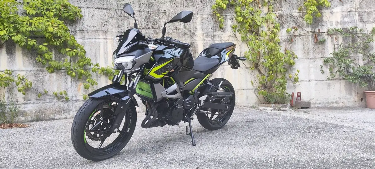 Kawasaki Z 400 (2019 - 20) (6)