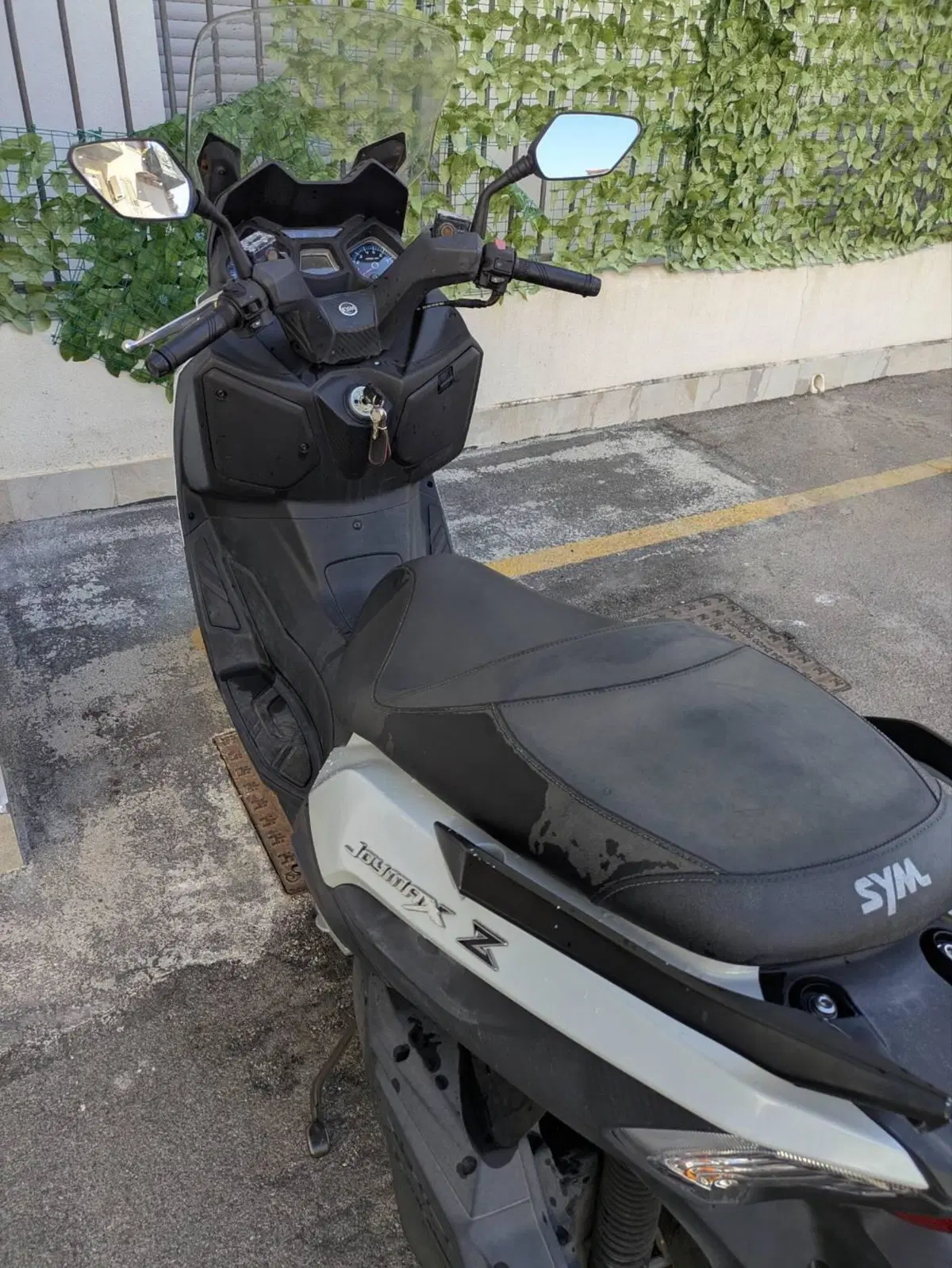 Sym Joymax 300 Z+ (2021 - 24) (6)