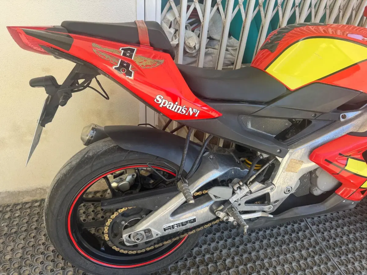 Aprilia RS 125 (2006 - 14) (4)