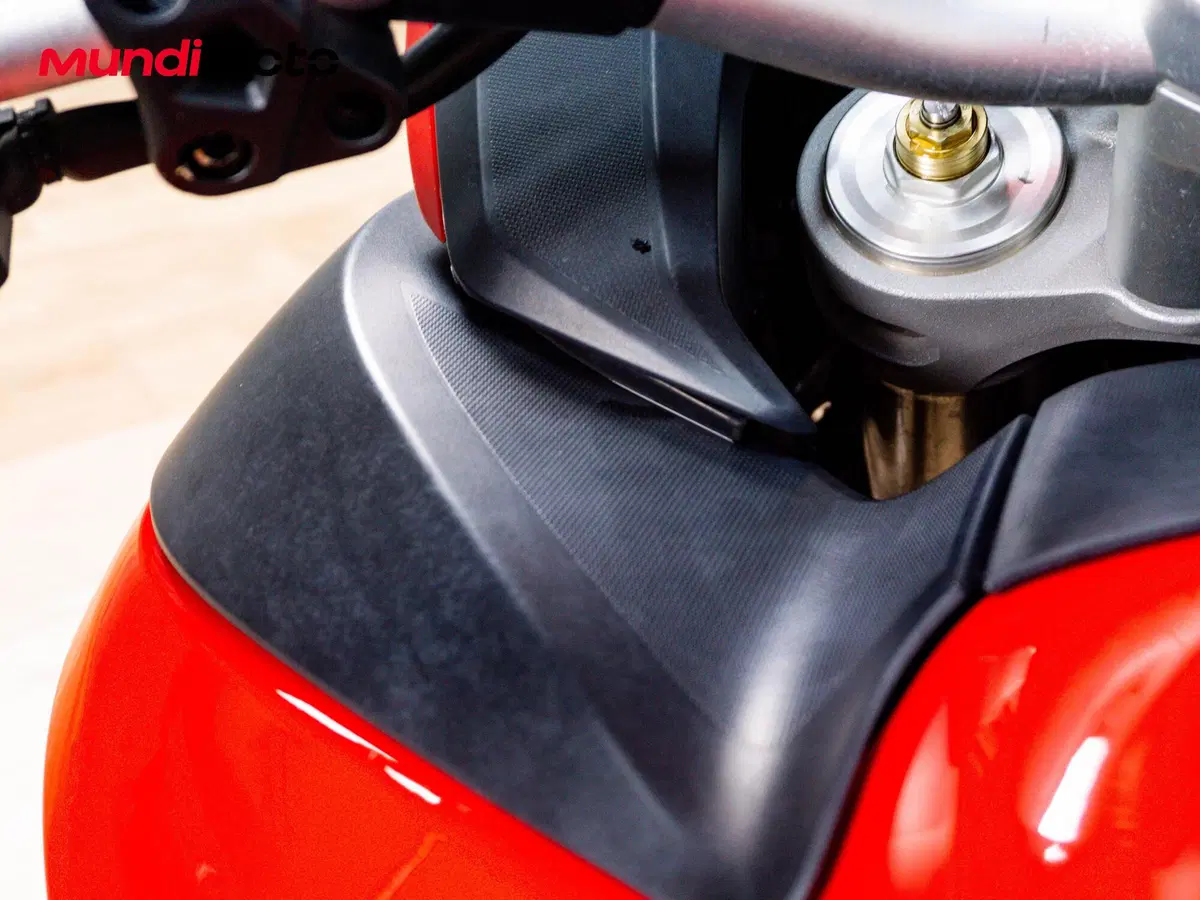 Ducati Multistrada 950 (2018) (15)