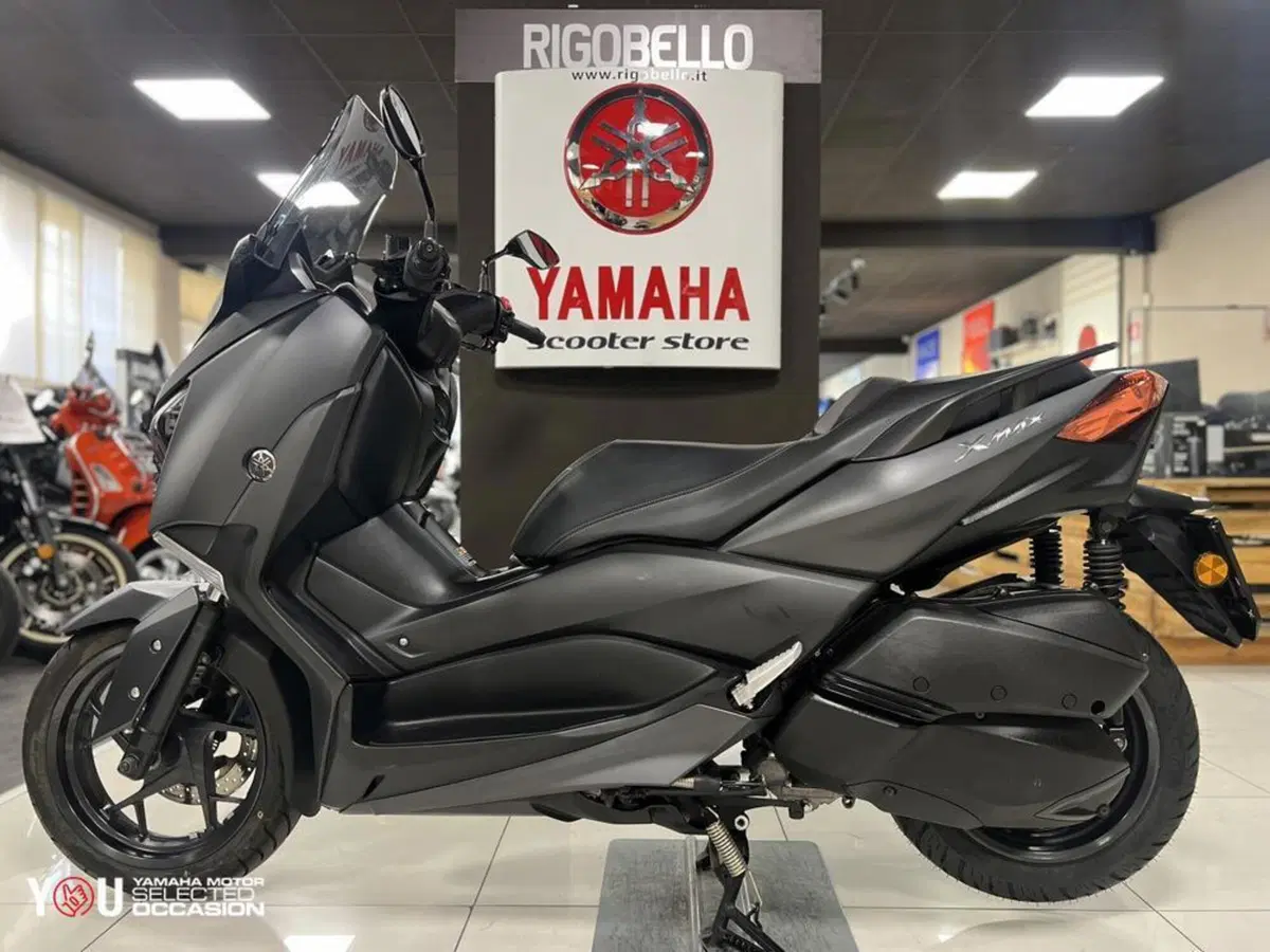 Yamaha X-Max 300 ABS (2017 - 20) (6)