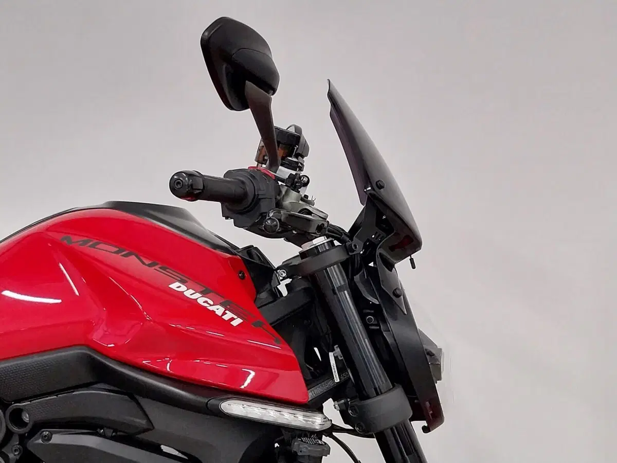 Ducati Monster 937 + (2021 - 25) (9)