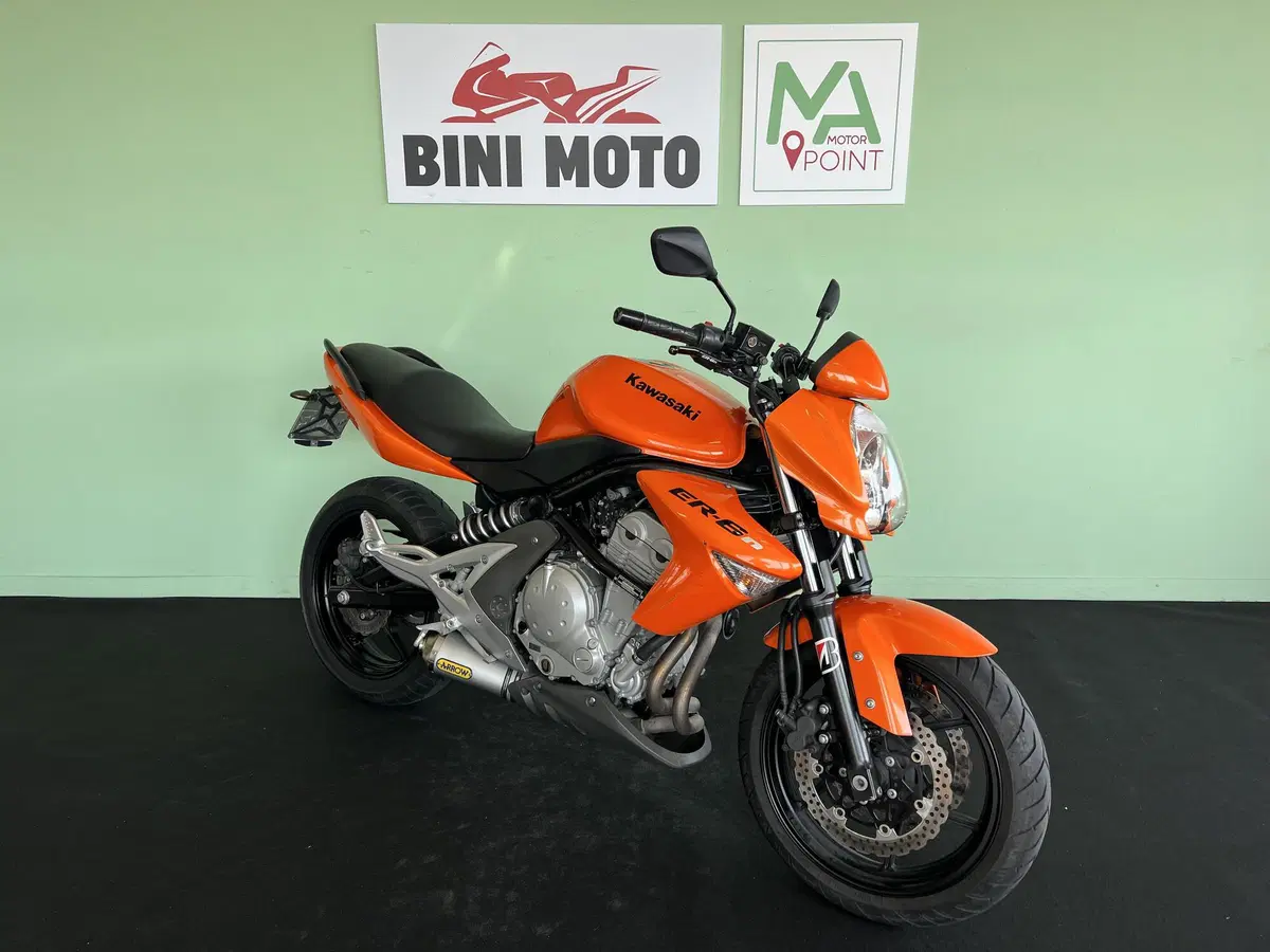 Kawasaki ER-6N (2006 - 09) (2)