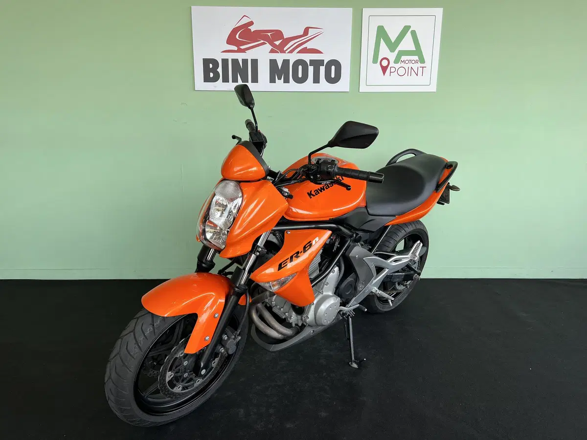 Kawasaki ER-6N (2006 - 09) (4)