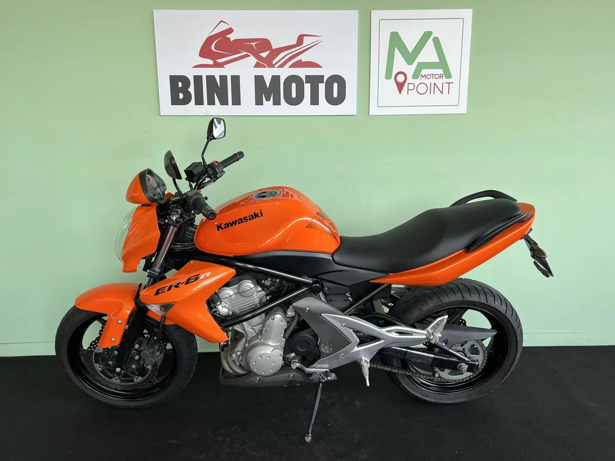 Kawasaki ER-6N (2006 - 09) (5)