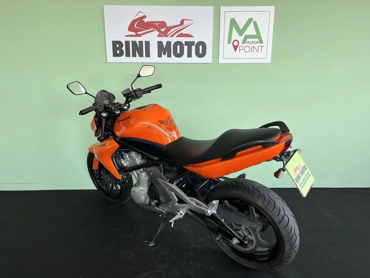 Kawasaki ER-6N (2006 - 09) (6)