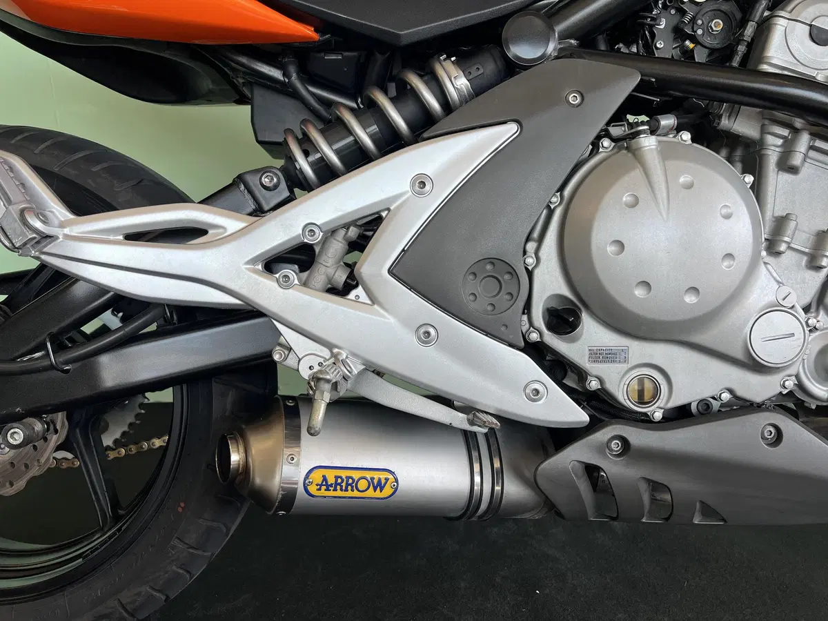 Kawasaki ER-6N (2006 - 09) (10)