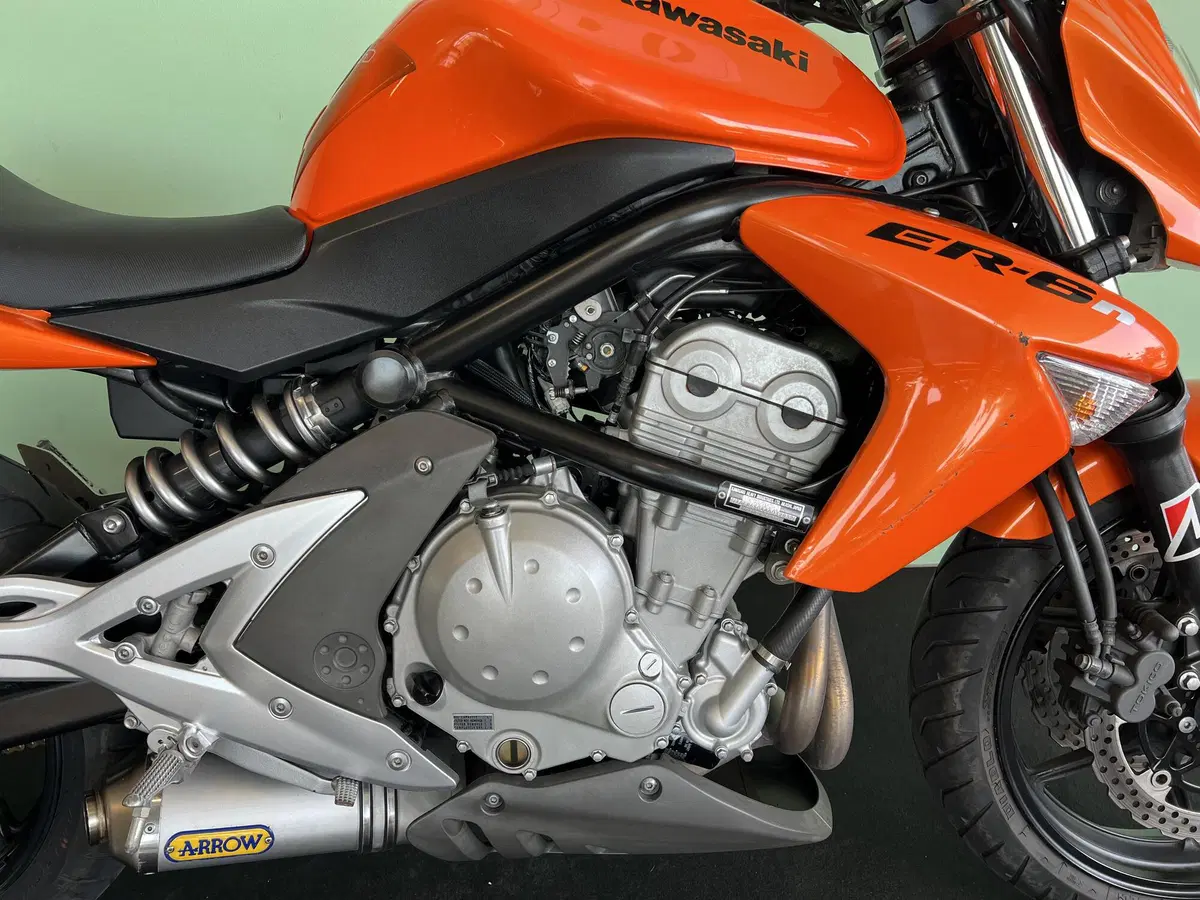 Kawasaki ER-6N (2006 - 09) (11)