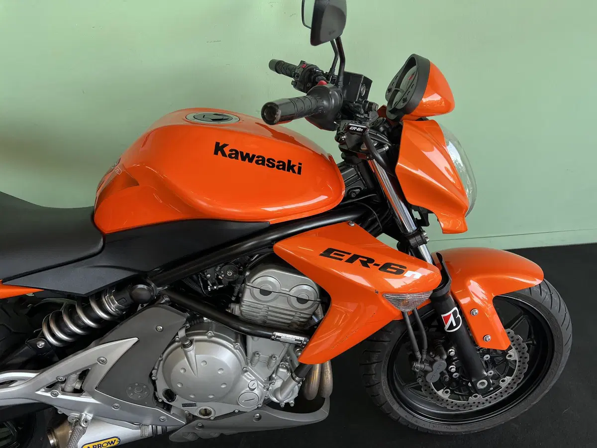 Kawasaki ER-6N (2006 - 09) (12)