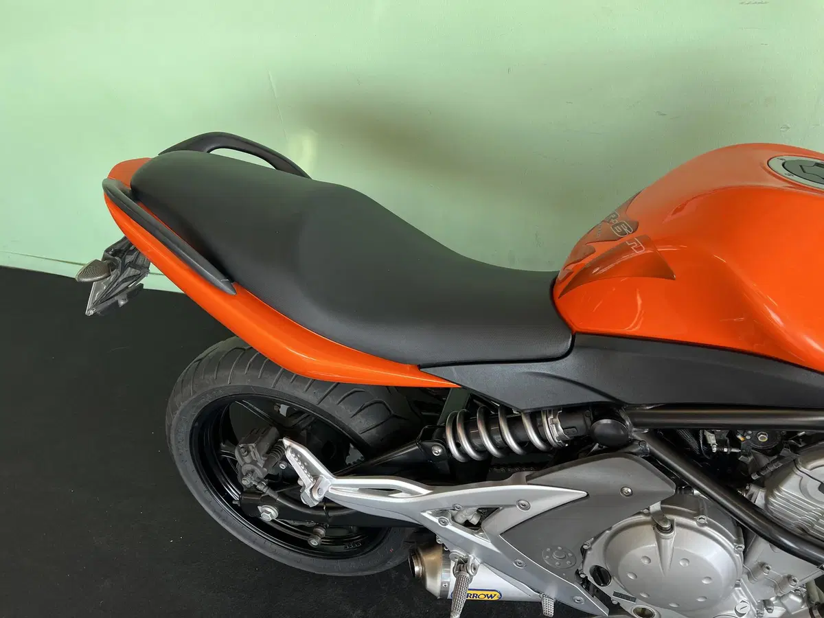 Kawasaki ER-6N (2006 - 09) (13)
