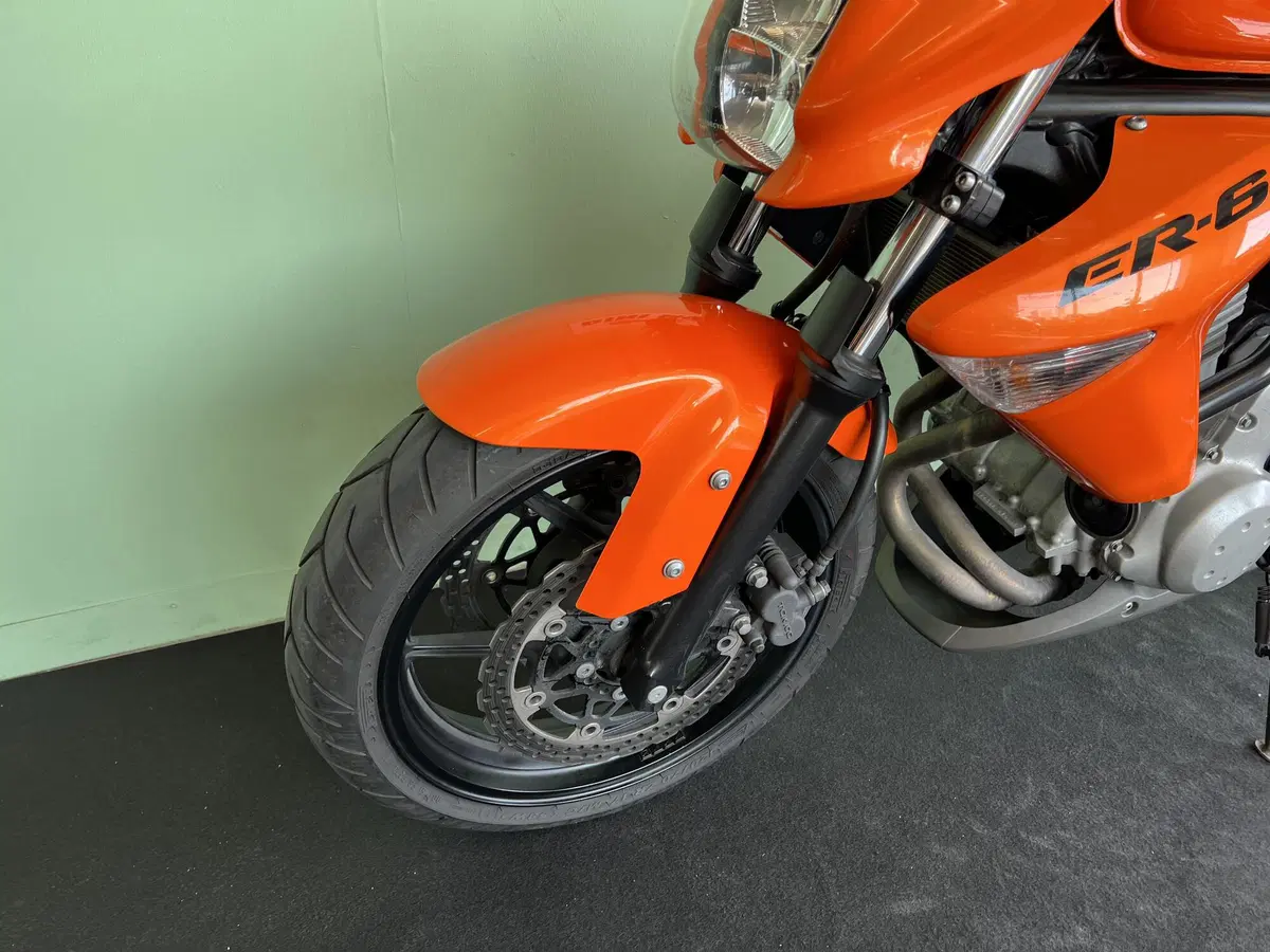 Kawasaki ER-6N (2006 - 09) (14)