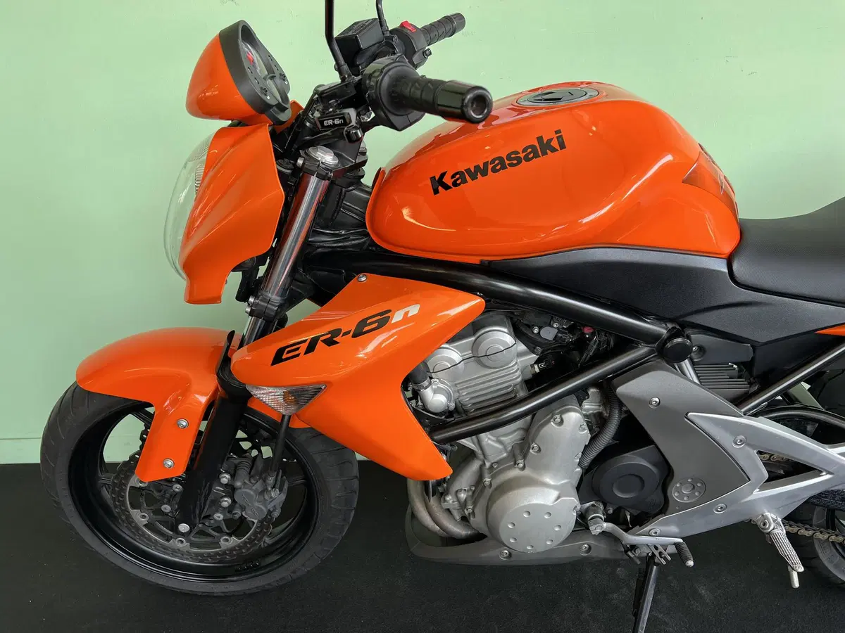 Kawasaki ER-6N (2006 - 09) (16)