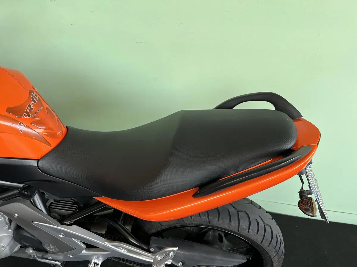 Kawasaki ER-6N (2006 - 09) (17)