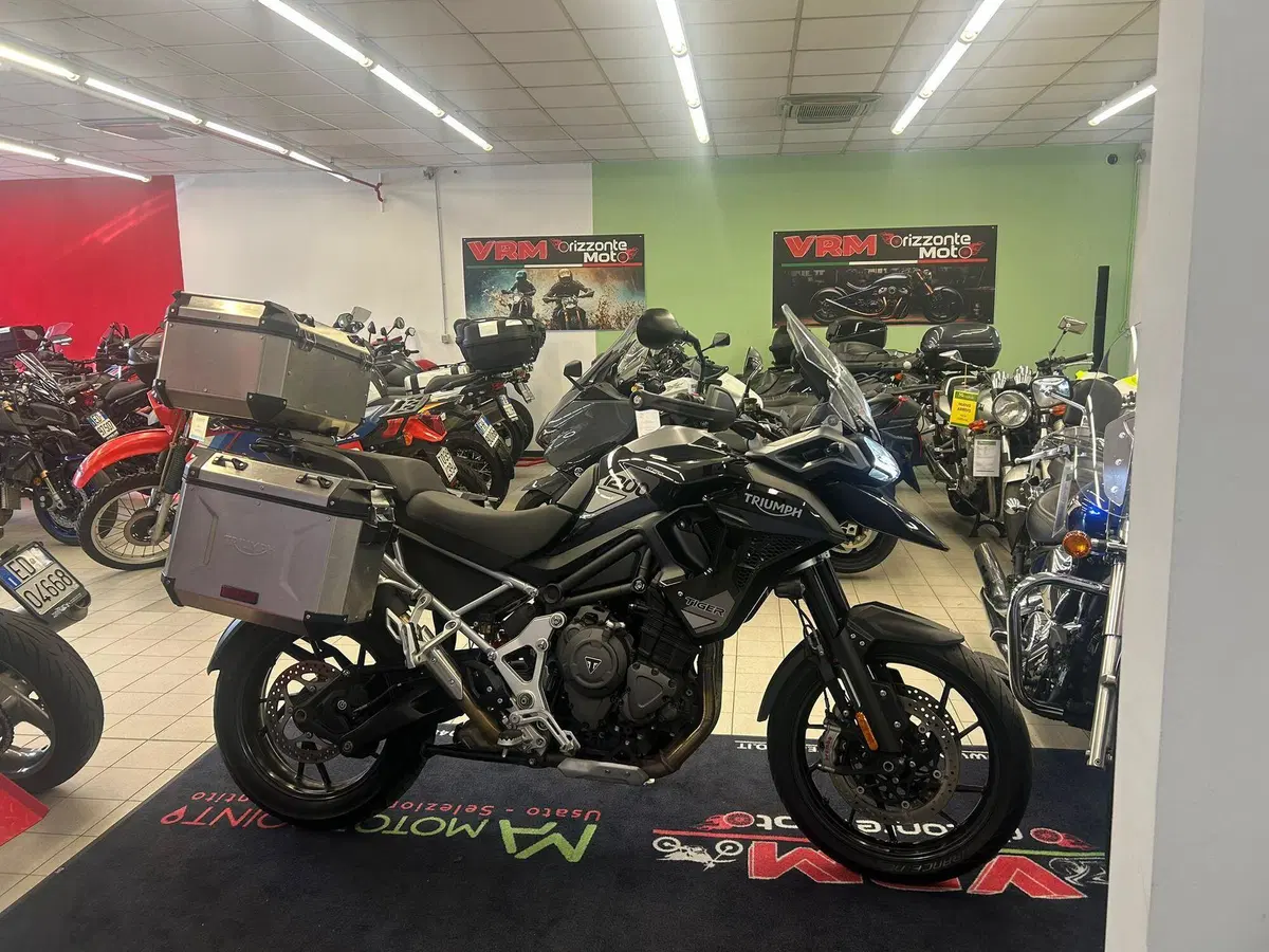 Triumph Tiger 1200 GT Pro (2022 - 23) (4)