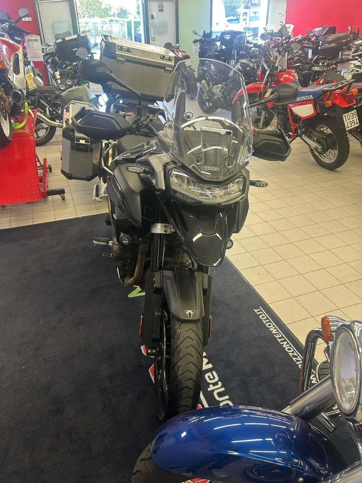 Triumph Tiger 1200 GT Pro (2022 - 23) (5)