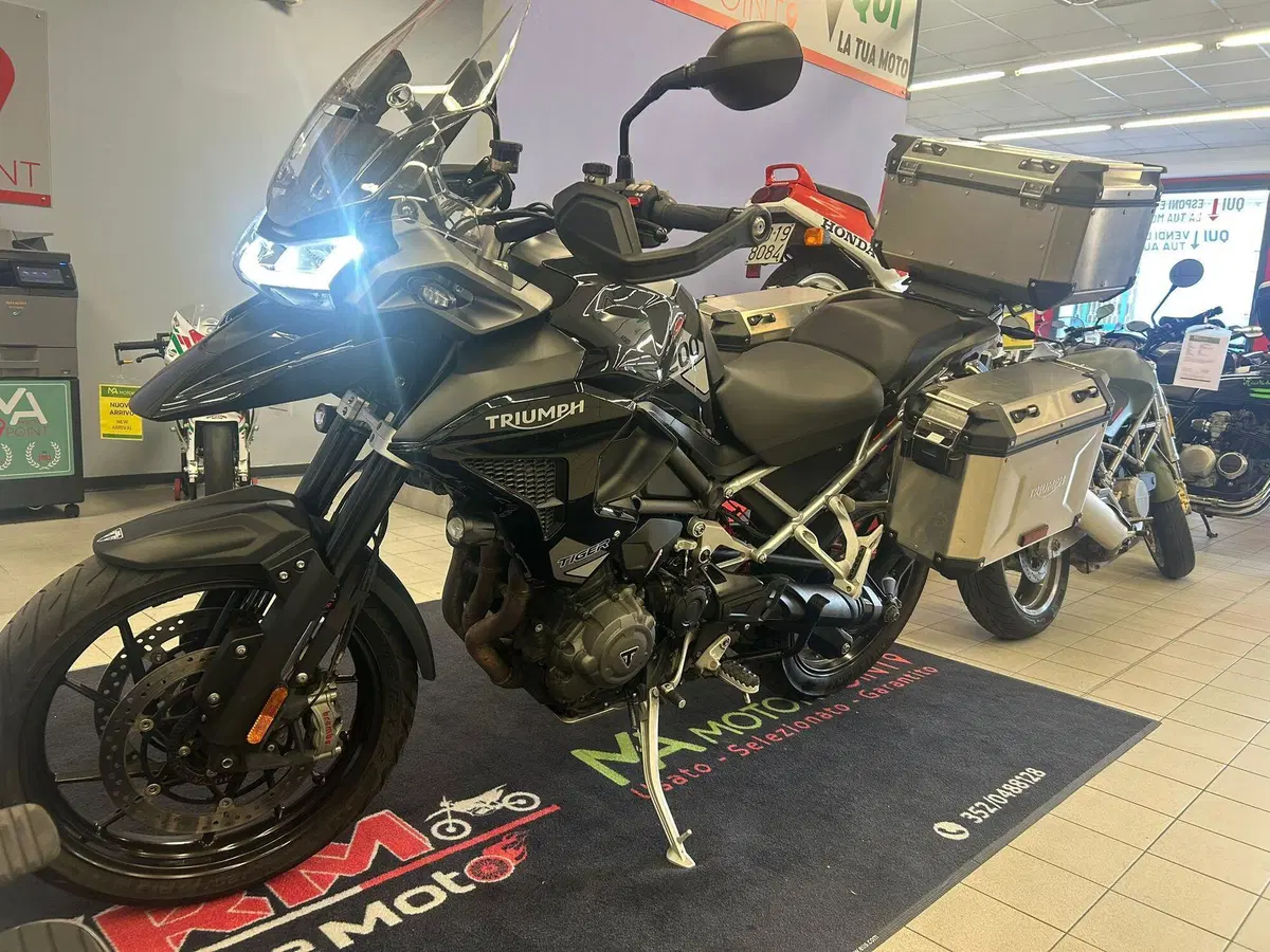 Triumph Tiger 1200 GT Pro (2022 - 23) (6)