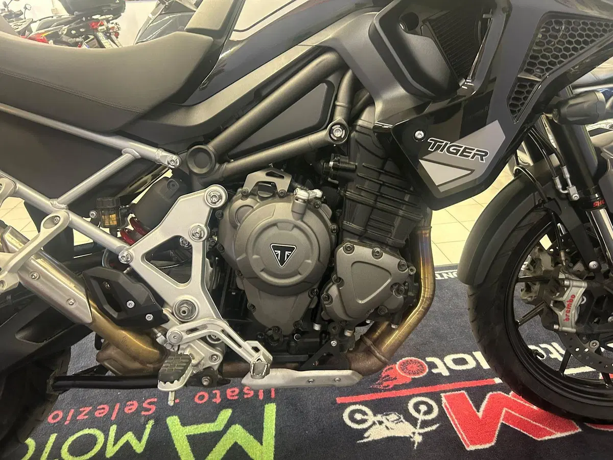 Triumph Tiger 1200 GT Pro (2022 - 23) (8)