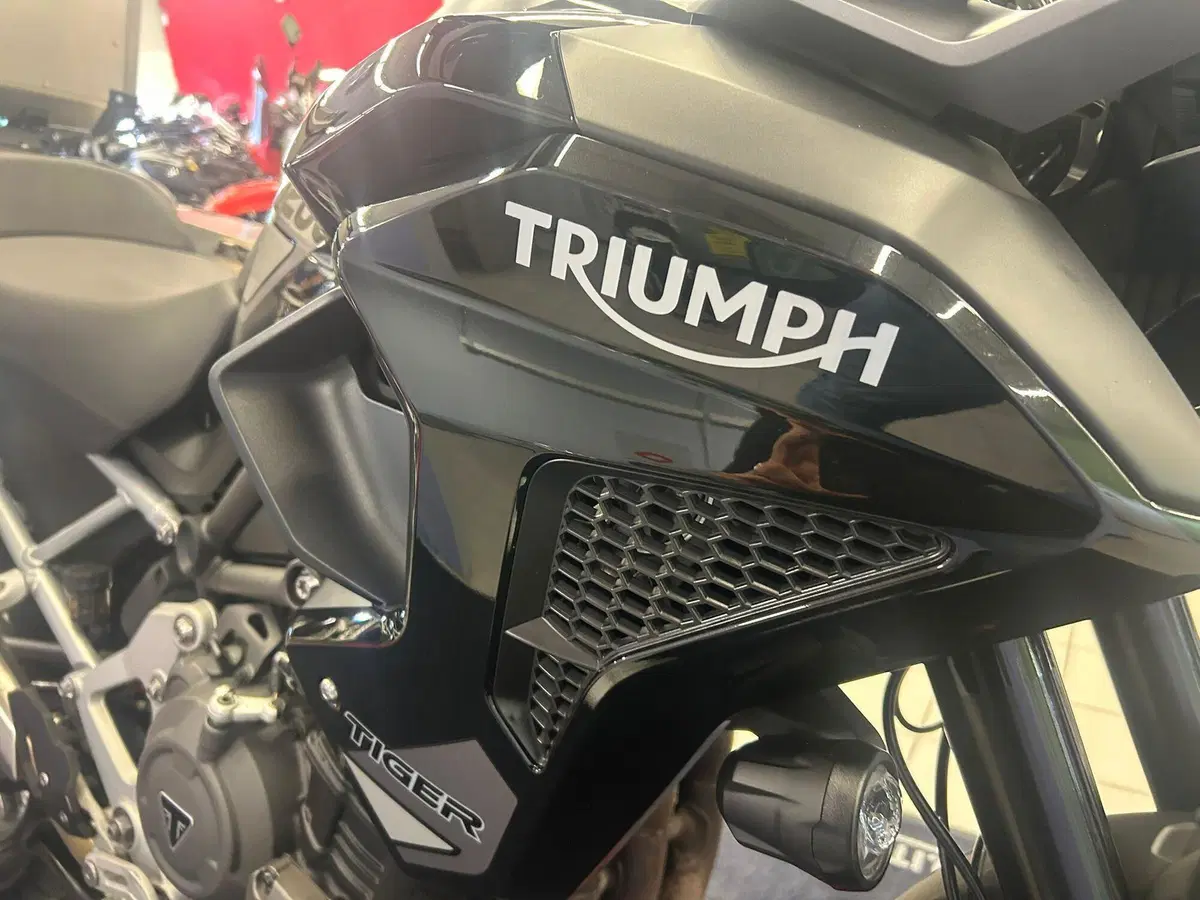 Triumph Tiger 1200 GT Pro (2022 - 23) (10)