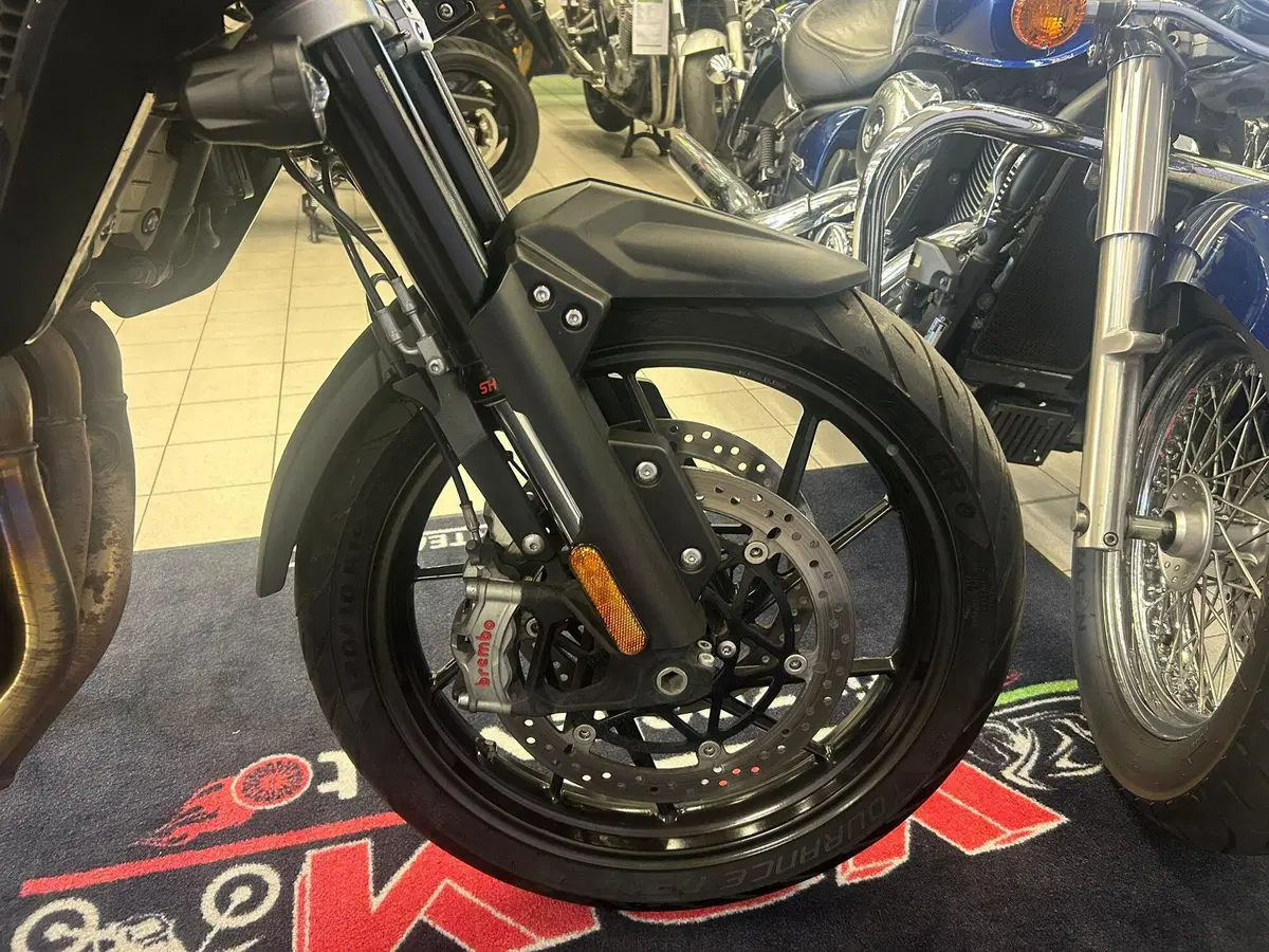 Triumph Tiger 1200 GT Pro (2022 - 23) (11)