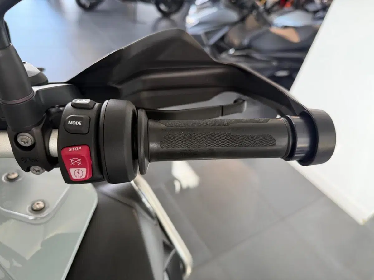 Bmw R 1250 GS Adventure (2019 - 20) (3)
