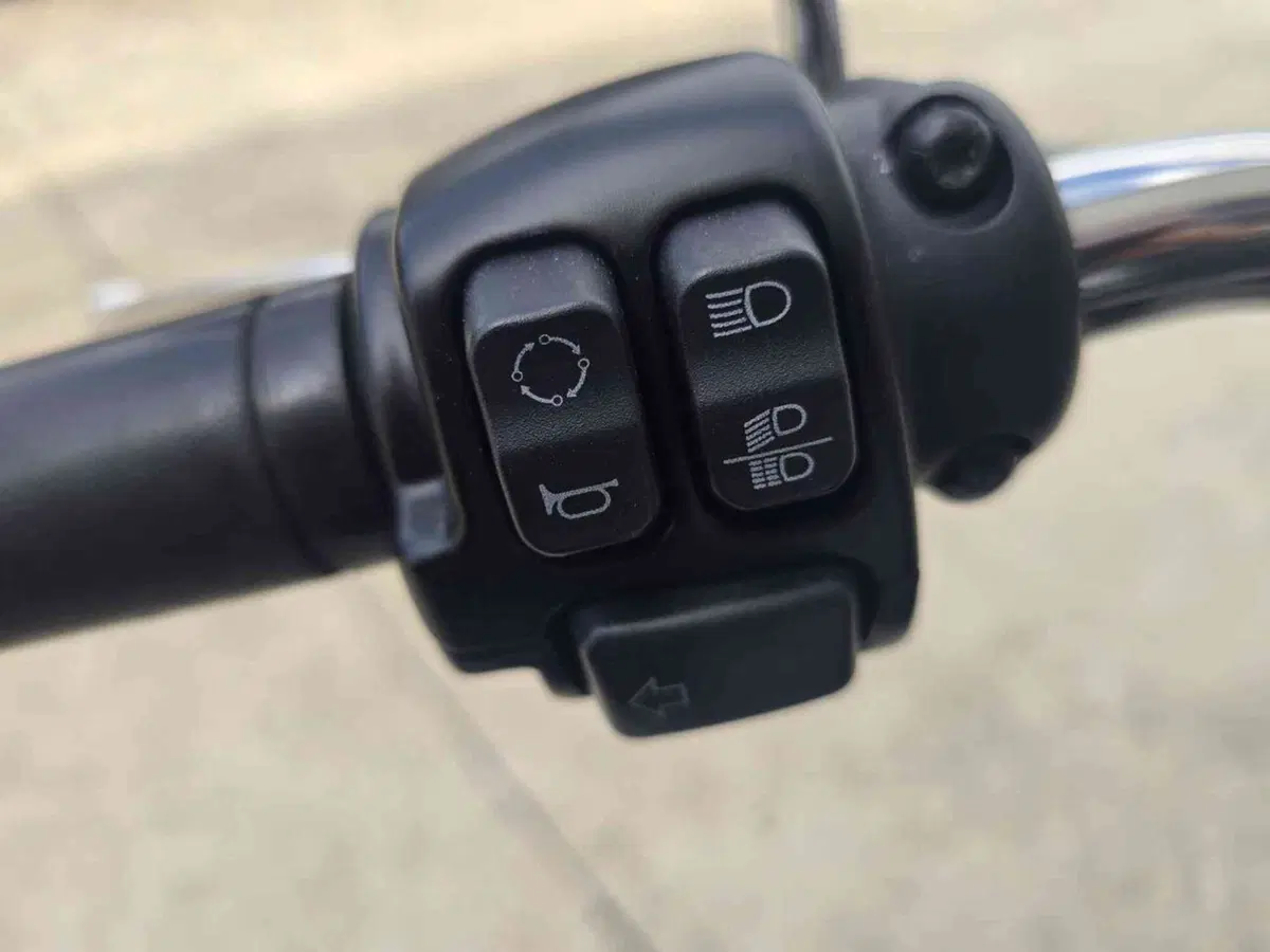 Harley-Davidson 107 Low Rider (2018 - 20) - FXLR (31)