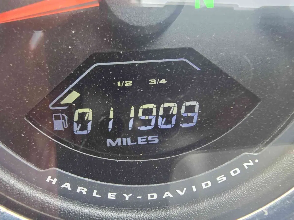 Harley-Davidson 107 Low Rider (2018 - 20) - FXLR (28)