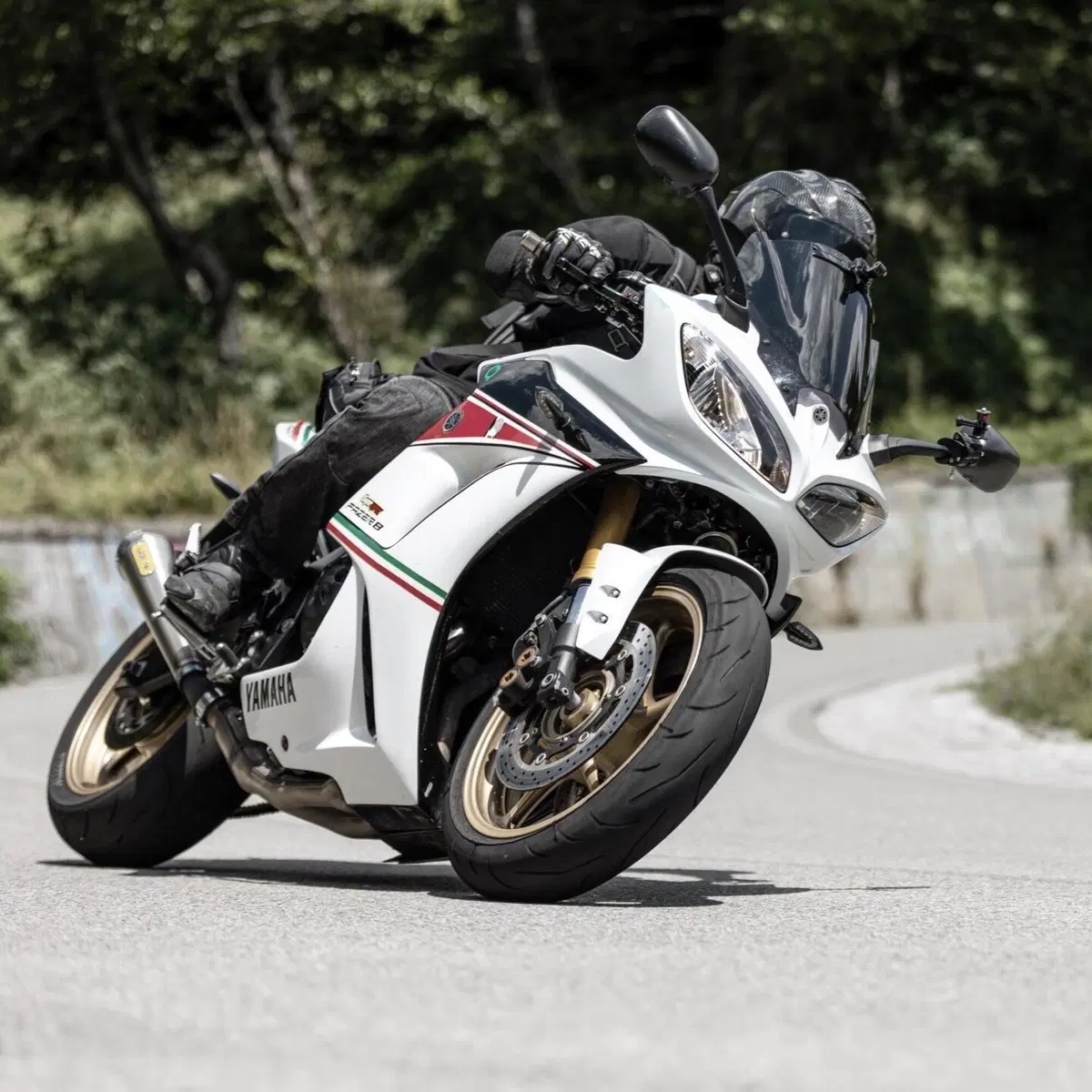 Yamaha FZ8 (2013 - 16) (6)