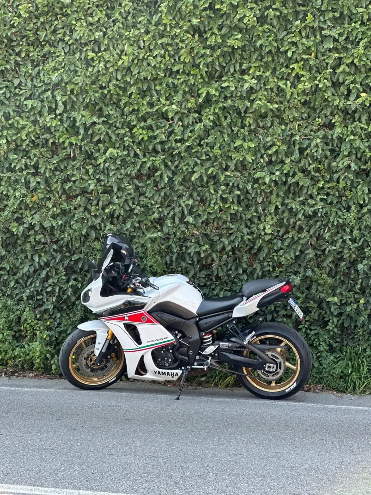 Yamaha FZ8 (2013 - 16) (9)