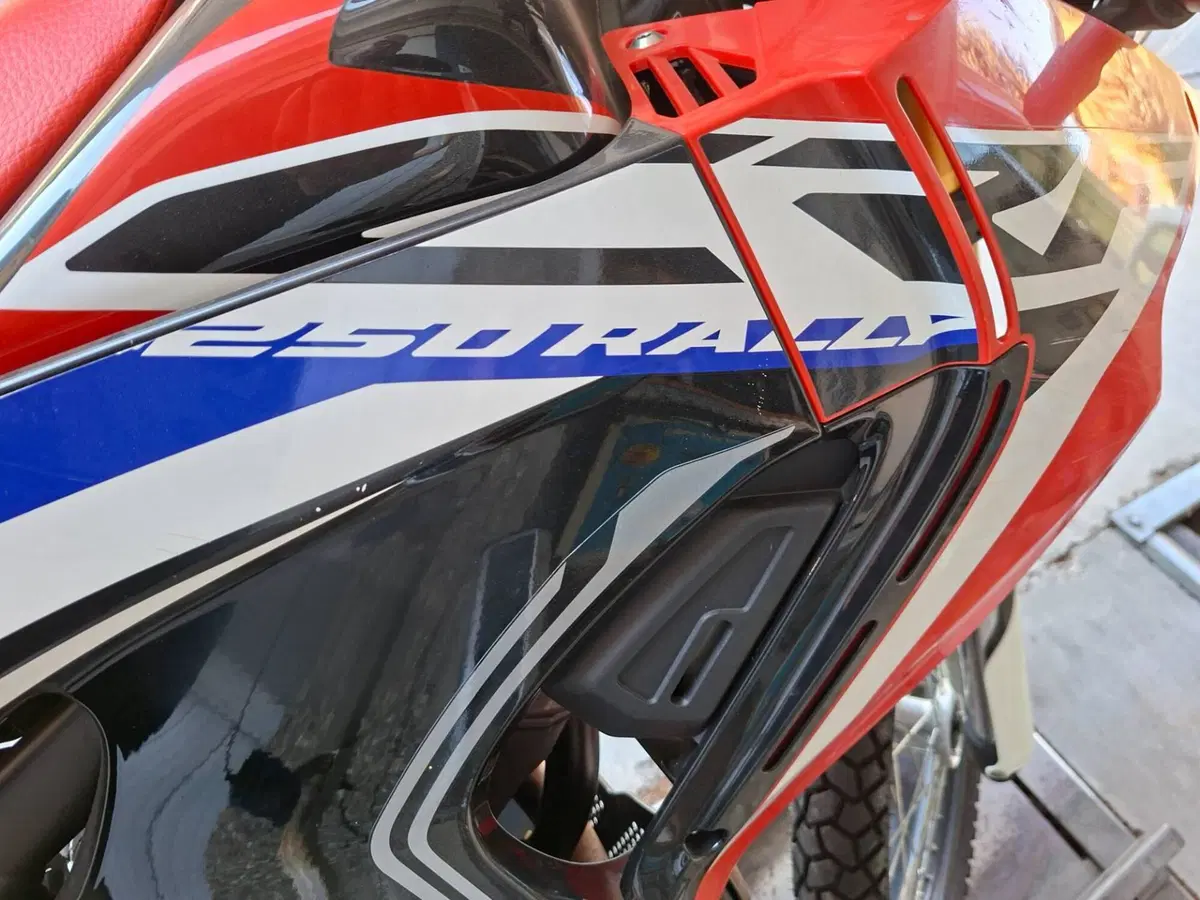 Honda CRF 250 Rally (2017 - 20) (4)