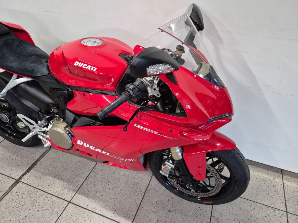 Ducati 1299 Panigale (2015 - 17) (2)