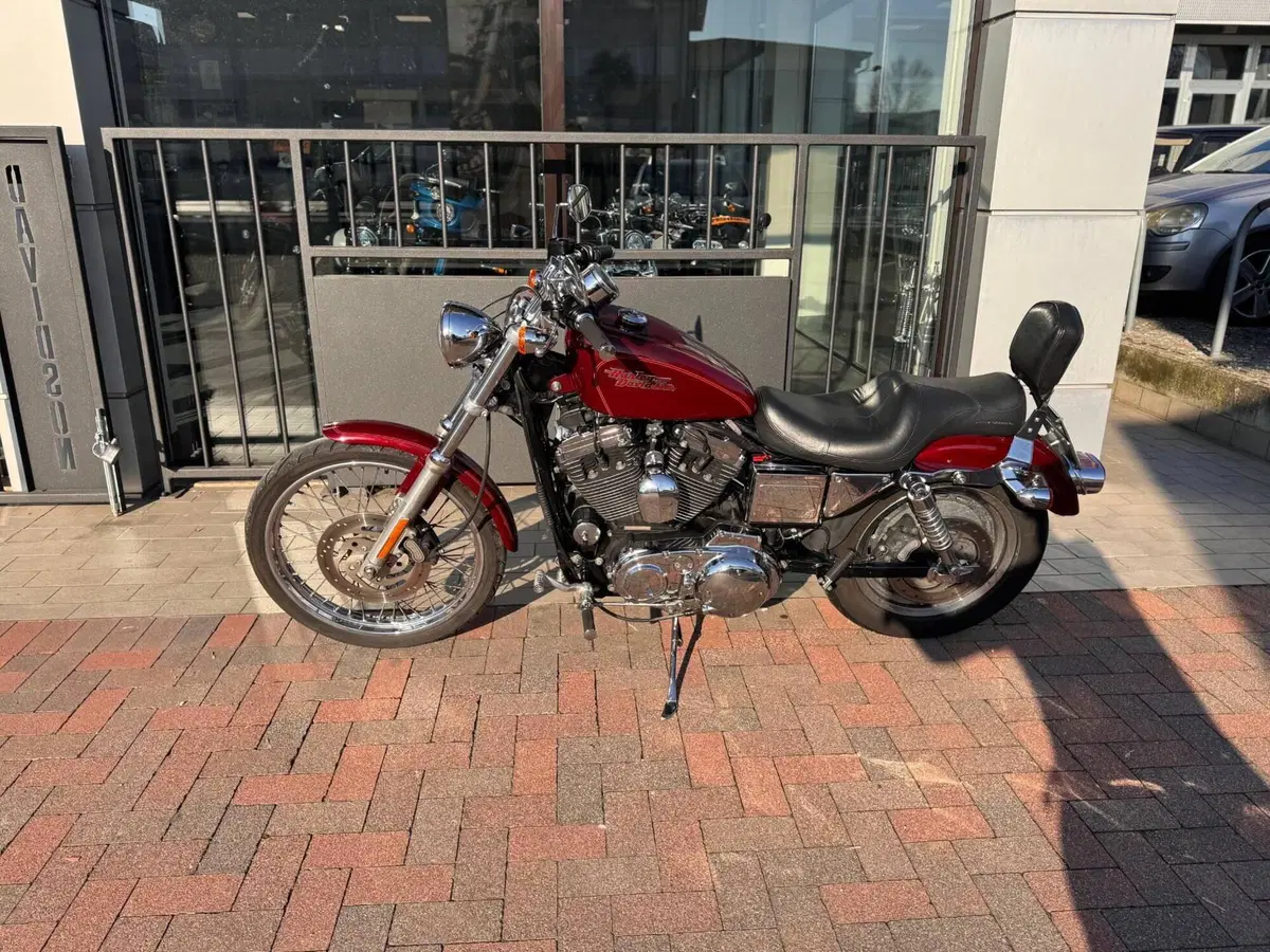 Harley-Davidson 1200 Custom (2001 - 03) - XL 1200C (2)