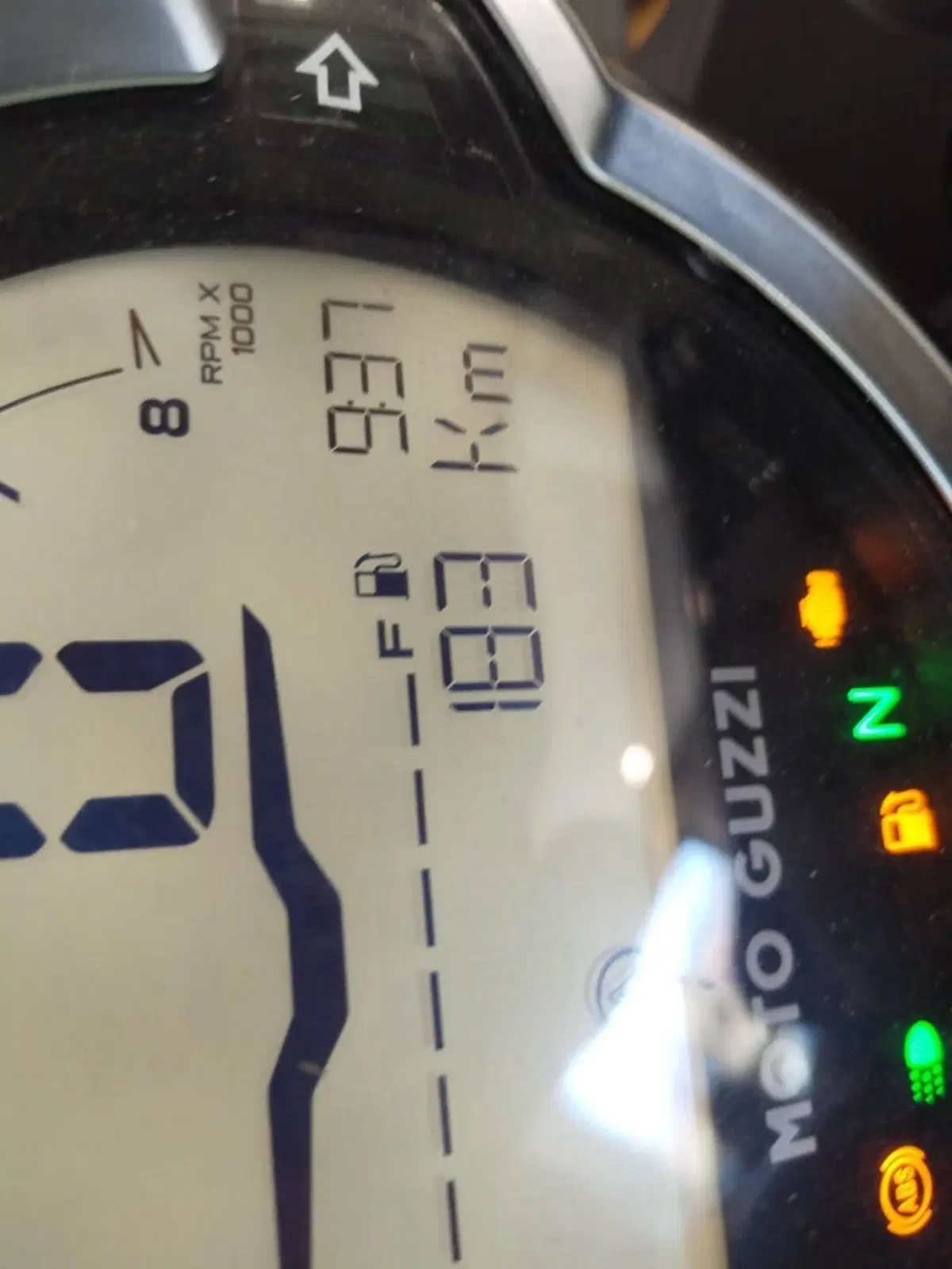Moto Guzzi V7 Sport (2025 - 26) (7)