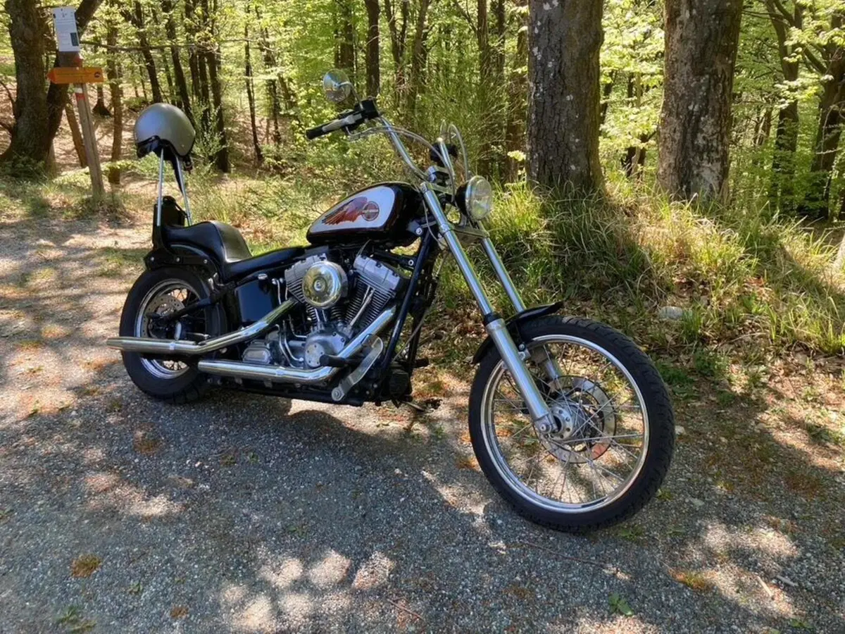 Harley-Davidson 1450 Standard (2002 - 05) - FXSTI (2)