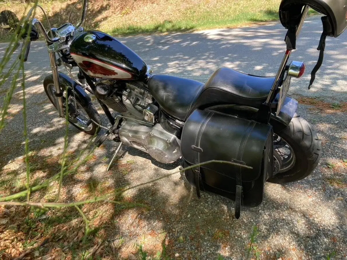 Harley-Davidson 1450 Standard (2002 - 05) - FXSTI (3)