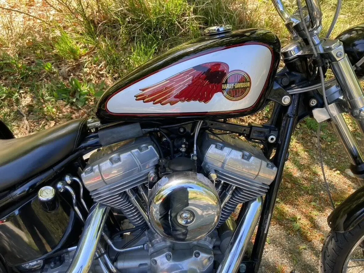 Harley-Davidson 1450 Standard (2002 - 05) - FXSTI (4)