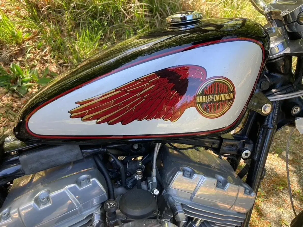 Harley-Davidson 1450 Standard (2002 - 05) - FXSTI (5)